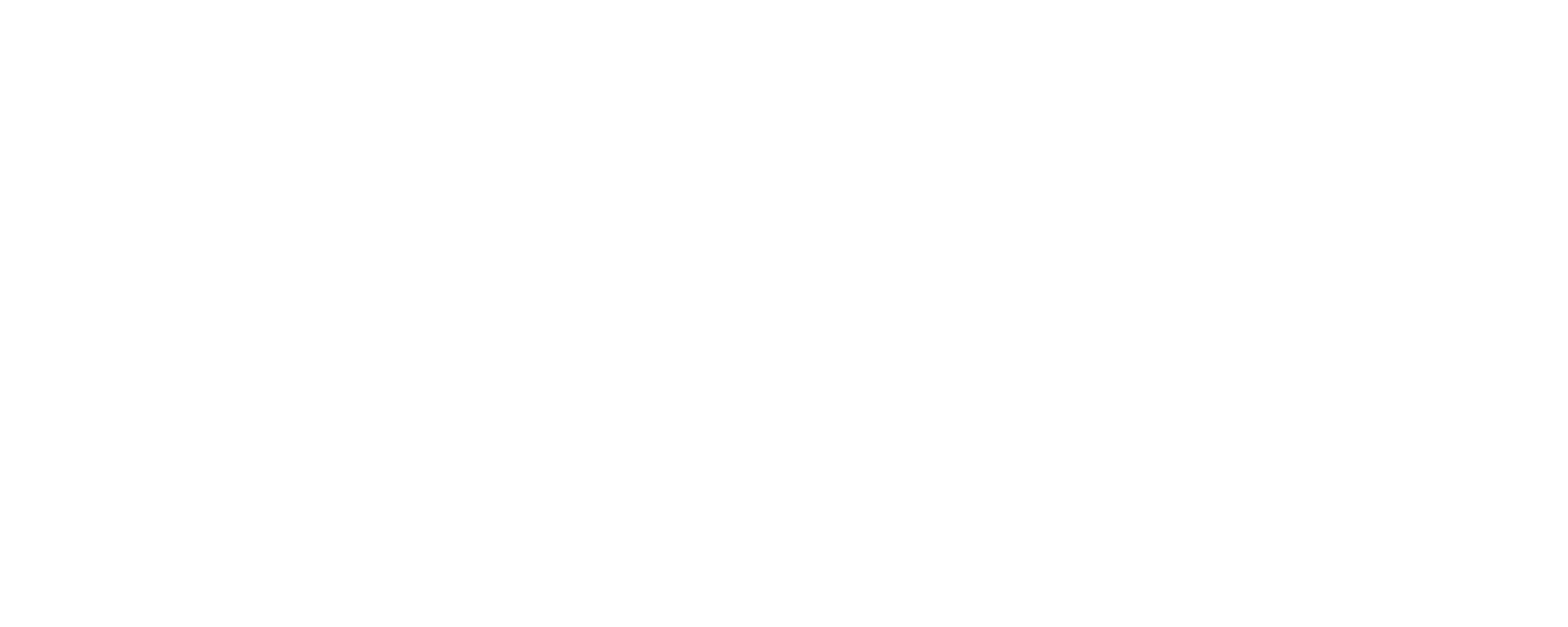DSC Logo